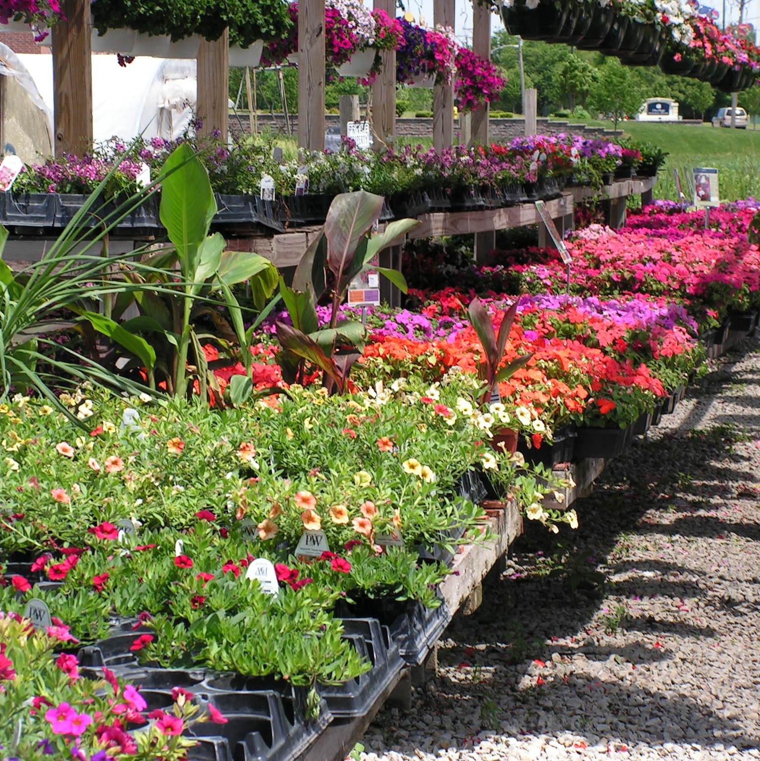 Photo 6 from We Grow Dreams, Inc.